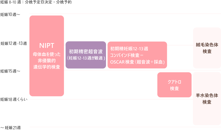 出生前検査の至適時期 図